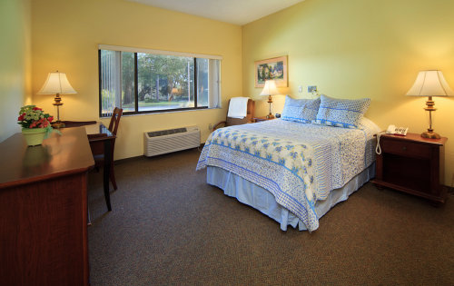 A resident suite at Cypress Springs